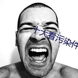 十大看污染件