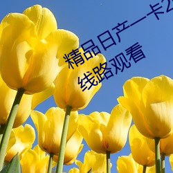 精品日产一卡2卡三卡4卡乱码可以多线路观看