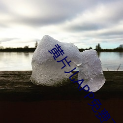 黄片儿APP免费下载 （舒展）