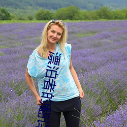 漂(漂)泊(泊)者(者)的(的)翻译