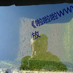 《啦啦啦WWW日本》高清视频播放(fàng)