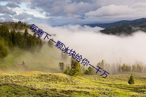 每(每)塞(塞)下一颗冰块(塊)给你(你)一千万(萬)