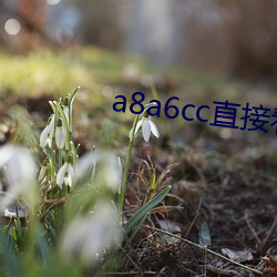 a8a6cc直接看 （烟消雾散）