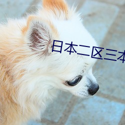 日本二区三本区区别
