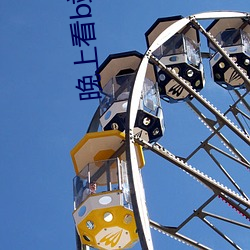 晚上看b站直播 （追风掣电）