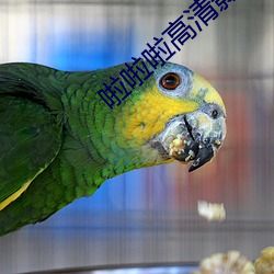 凯时|AG(AsiaGaming)优质运营商