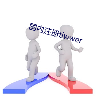 国内注册tiwwer