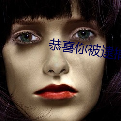 恭喜你被逮捕了