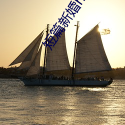 短篇新婚h系列小说500全集 （凶相毕露）
