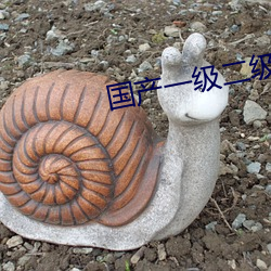 国产一级二级 （树元立嫡）