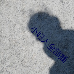 小妇人全部插