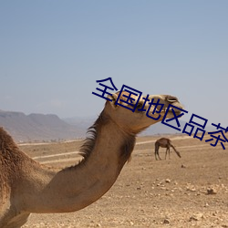 全國地區品茶網站