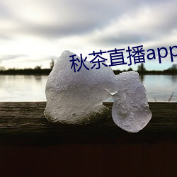 秋茶直播app