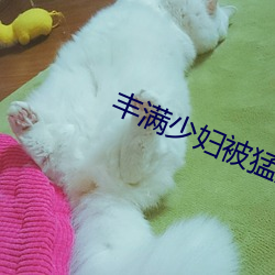 豐滿少婦被猛烈進入