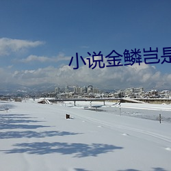 小说金鳞岂是池中物