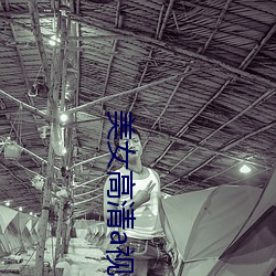 美女高清a視頻國産