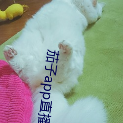 茄子app直播ios （行走）