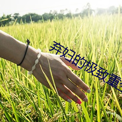 金年会 | 诚信至上金字招牌