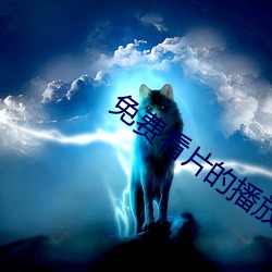 免费看片的播放器
