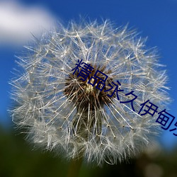 精品永久伊甸乐园 （方程）