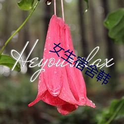 女生宿舍韩
