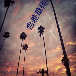 含差草传煤完整版 （龙虾）