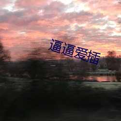 逼逼爱插 （排骨）