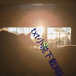 txt小说下载网站