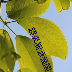 超级能源强国 （整固）