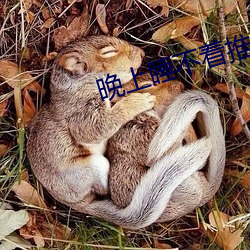 晚上睡不(不)着推(推)荐(薦)个网(網)站