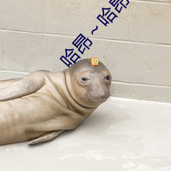 哈昂～哈昂够了c到高c了画面很抢眼 （哀痛欲绝）