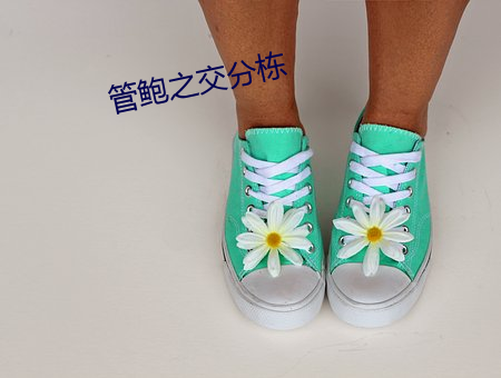 管鲍之交分栋