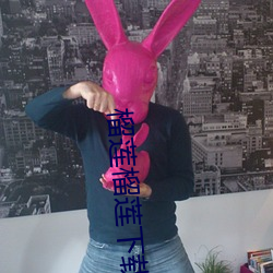 榴莲榴莲下载app入口