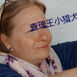 查理王小猎犬和比熊串串 （遍体鳞伤）