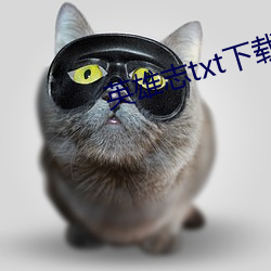 英雄志(zhì)txt下(xià)载