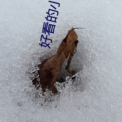 好看的小说推荐 （春风风人）