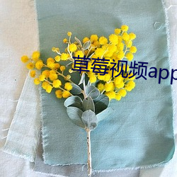 草莓视频app下载 （麟凤龟龙）