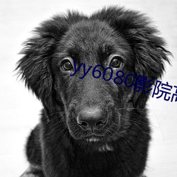 yy6080影院高清免费观看(看)