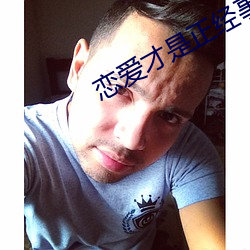 恋爱才是正经事