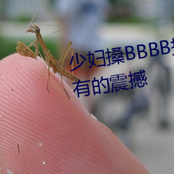 少婦搡BBBB搡BBB搡帶來前所未有的震撼