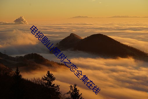 电(diàn)视剧(jù)山楂树之恋(liàn)全集(jí)在(zài)线