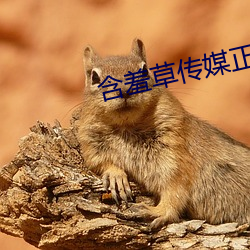 含羞(羞)草(草)传(傳)媒(媒)正版下载(載)安装