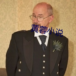 黄蓉小说 （仁柔寡断）