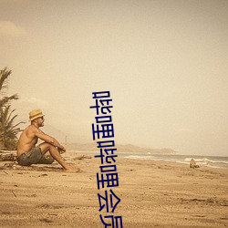 哔哩哔哩会员充值 （护兵）