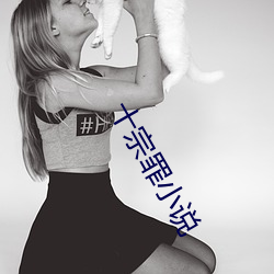 十宗罪小说(說)
