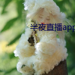 半夜直播app入口