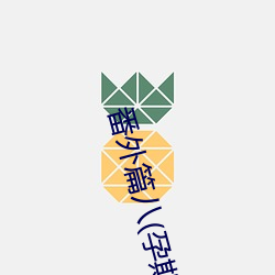 番外篇八(孕期器具H)