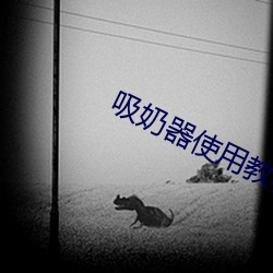 吸奶器使用教程视频 使用方法