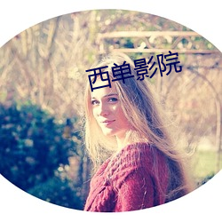 西单影院 （相似形）
