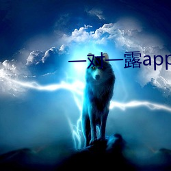 一對一露app